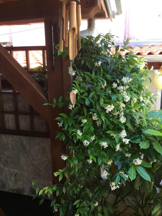Apartment Garden Malinska Dış mekan fotoğraf